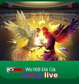 okvip live
